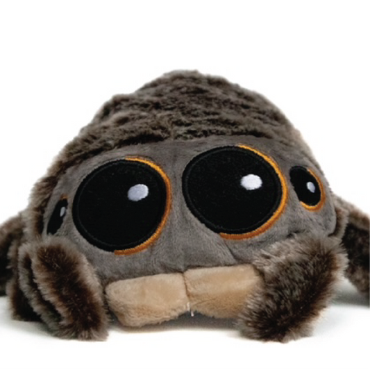 Lucas The Spider Plushie