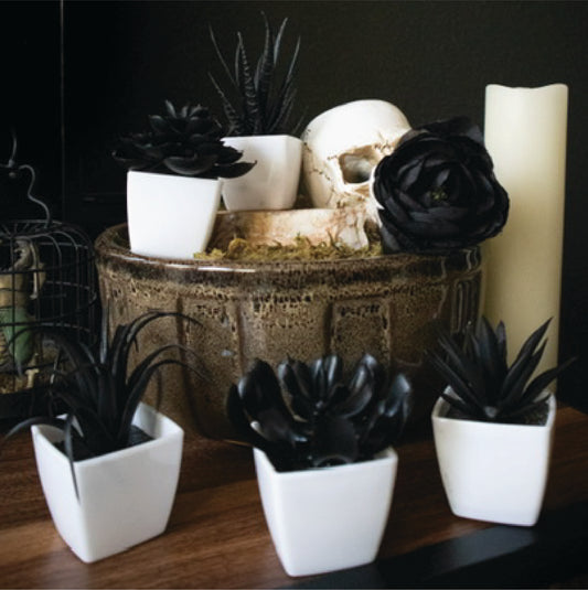 Black Plastic Plants