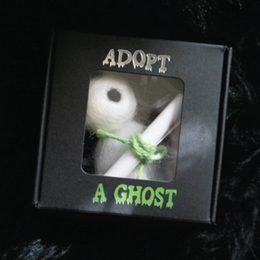 Adopt A Ghost Box