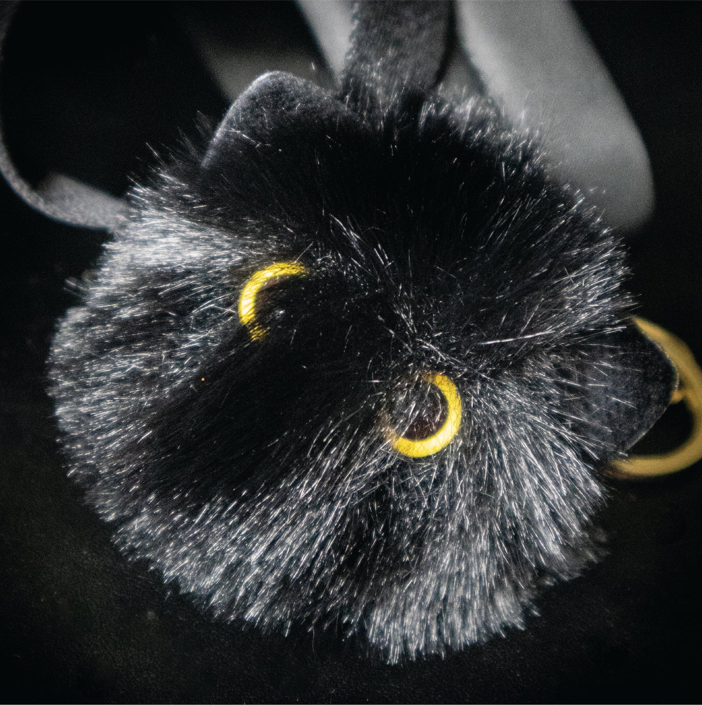 Black Cat Keychain