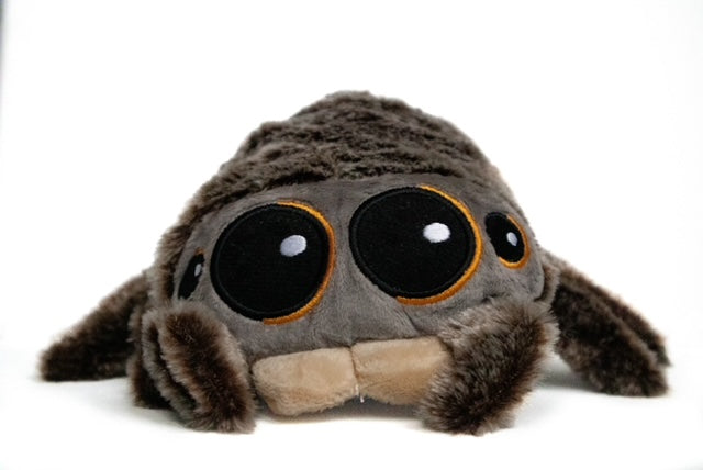 Lucas The Spider Plushie