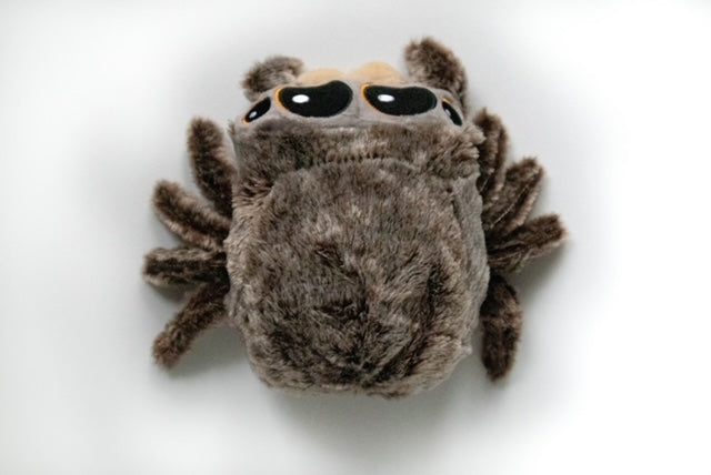 Lucas The Spider Plushie