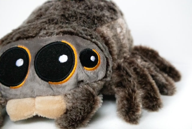 Lucas The Spider Plushie